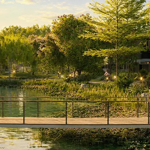 Lake Series Creek Area Southbank